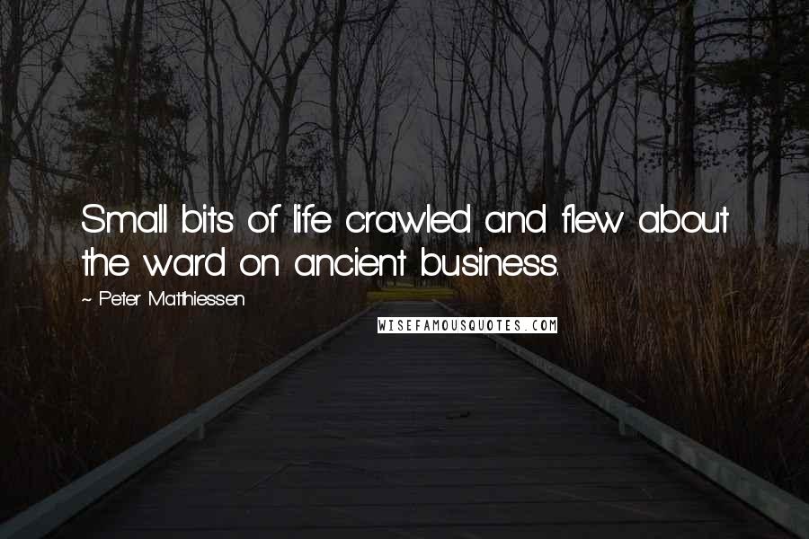 Peter Matthiessen Quotes: Small bits of life crawled and flew about the ward on ancient business.