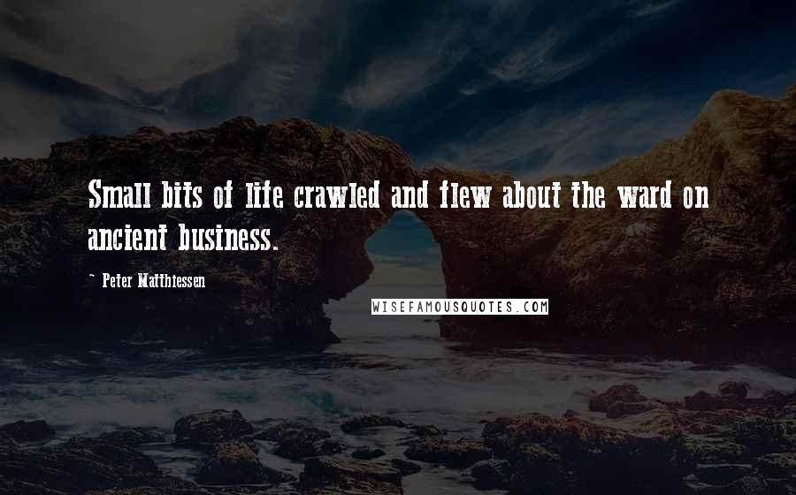Peter Matthiessen Quotes: Small bits of life crawled and flew about the ward on ancient business.