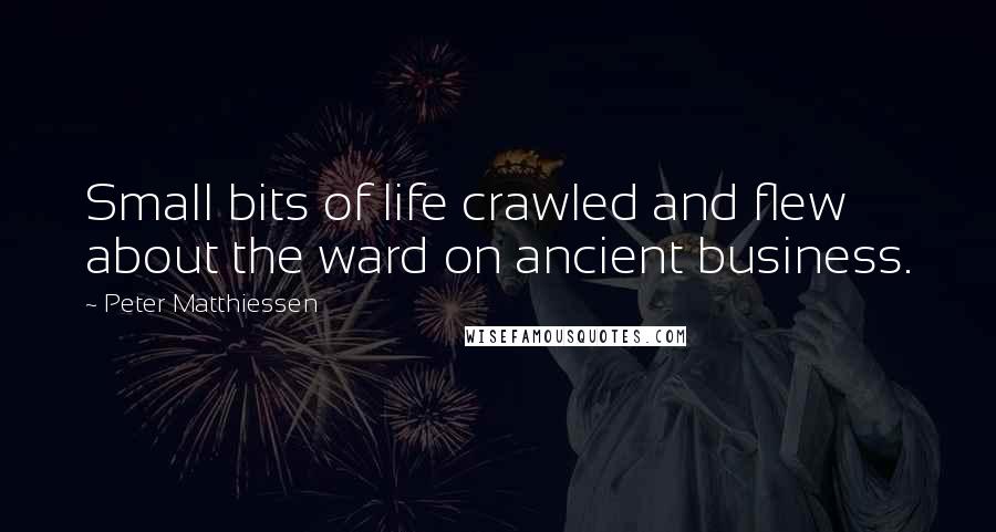 Peter Matthiessen Quotes: Small bits of life crawled and flew about the ward on ancient business.