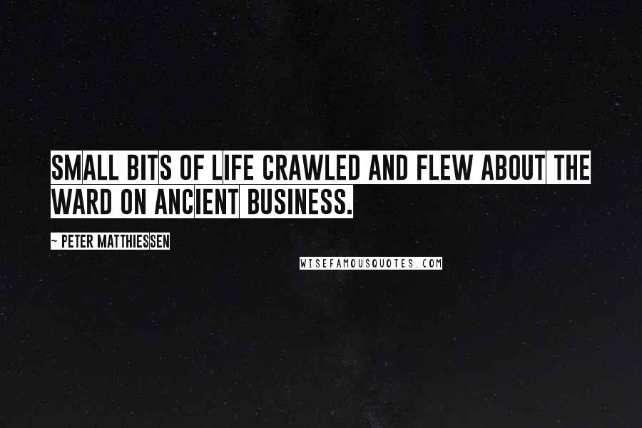 Peter Matthiessen Quotes: Small bits of life crawled and flew about the ward on ancient business.