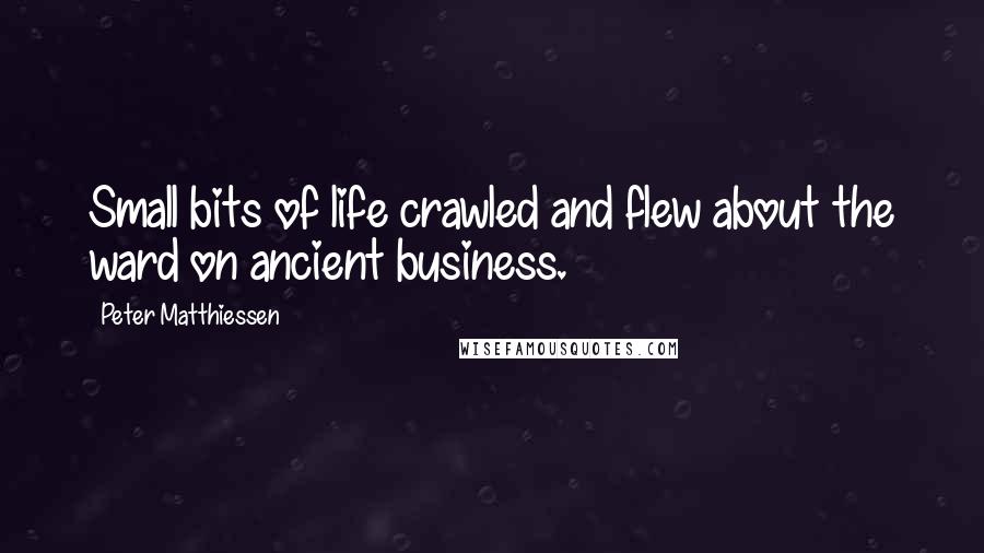 Peter Matthiessen Quotes: Small bits of life crawled and flew about the ward on ancient business.