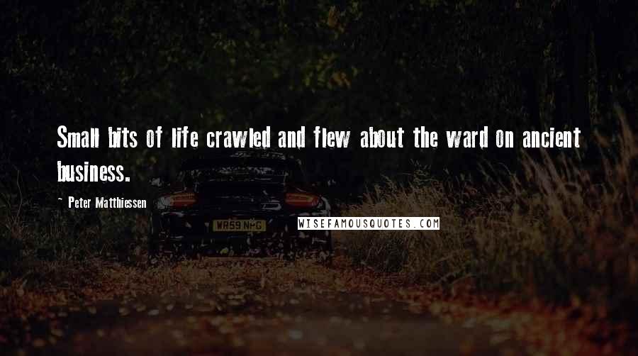 Peter Matthiessen Quotes: Small bits of life crawled and flew about the ward on ancient business.