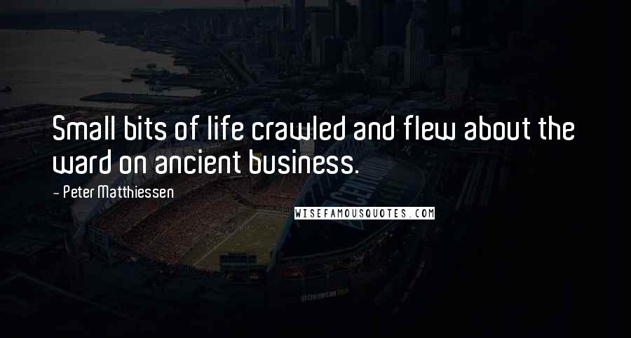 Peter Matthiessen Quotes: Small bits of life crawled and flew about the ward on ancient business.