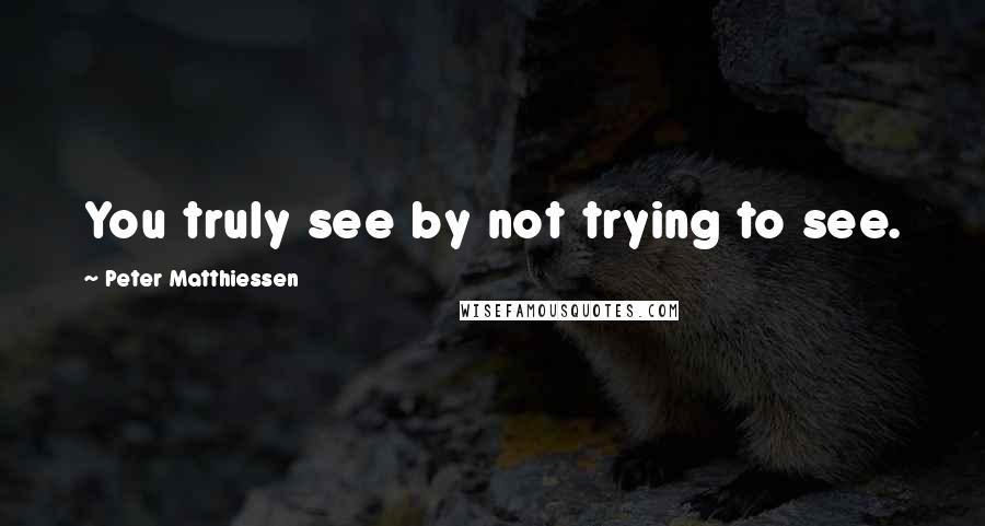 Peter Matthiessen Quotes: You truly see by not trying to see.