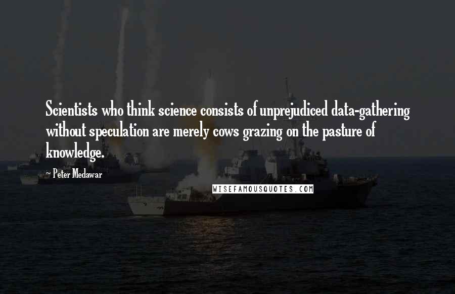 Peter Medawar Quotes: Scientists who think science consists of unprejudiced data-gathering without speculation are merely cows grazing on the pasture of knowledge.