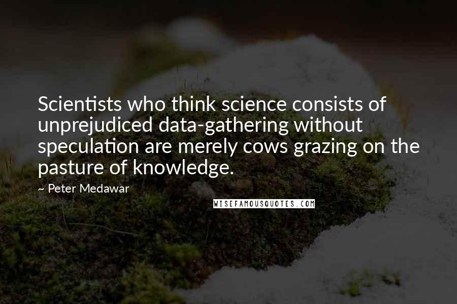 Peter Medawar Quotes: Scientists who think science consists of unprejudiced data-gathering without speculation are merely cows grazing on the pasture of knowledge.