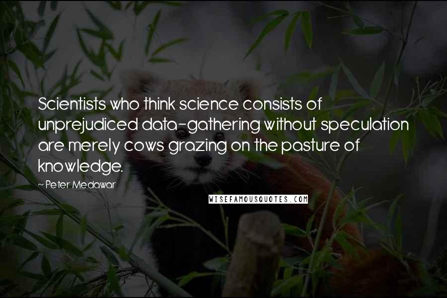 Peter Medawar Quotes: Scientists who think science consists of unprejudiced data-gathering without speculation are merely cows grazing on the pasture of knowledge.