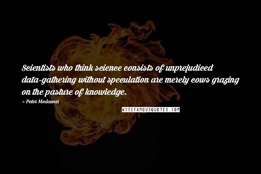 Peter Medawar Quotes: Scientists who think science consists of unprejudiced data-gathering without speculation are merely cows grazing on the pasture of knowledge.