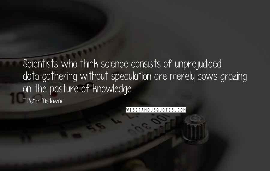 Peter Medawar Quotes: Scientists who think science consists of unprejudiced data-gathering without speculation are merely cows grazing on the pasture of knowledge.