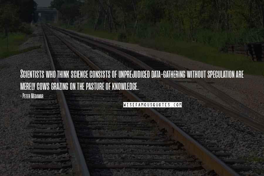 Peter Medawar Quotes: Scientists who think science consists of unprejudiced data-gathering without speculation are merely cows grazing on the pasture of knowledge.