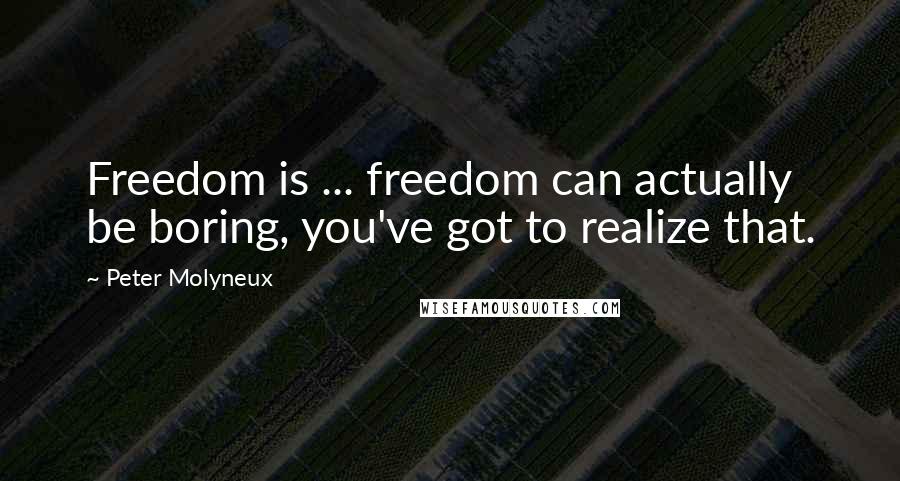 Peter Molyneux Quotes: Freedom is ... freedom can actually be boring, you've got to realize that.