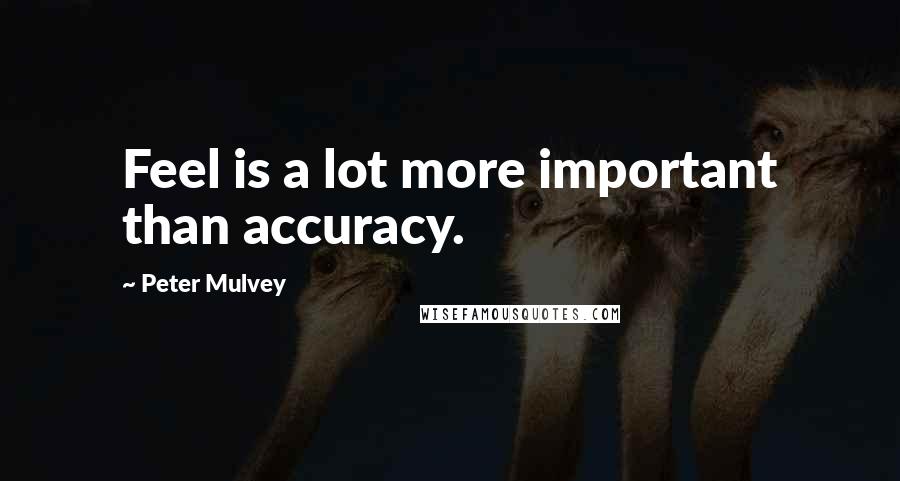 Peter Mulvey Quotes: Feel is a lot more important than accuracy.