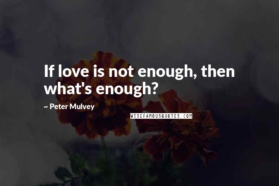 Peter Mulvey Quotes: If love is not enough, then what's enough?