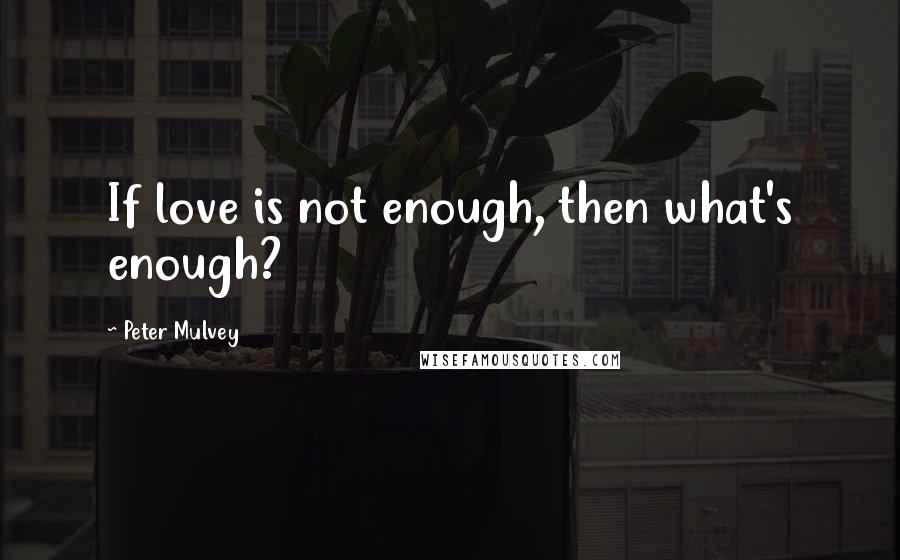 Peter Mulvey Quotes: If love is not enough, then what's enough?