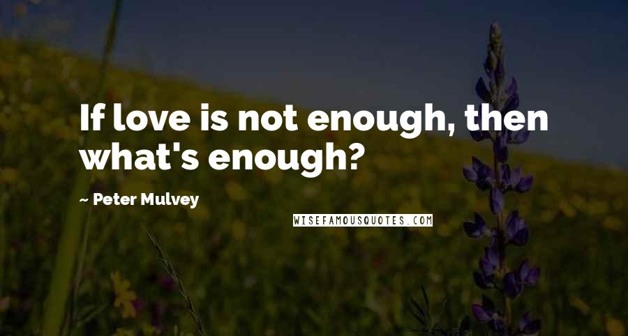 Peter Mulvey Quotes: If love is not enough, then what's enough?