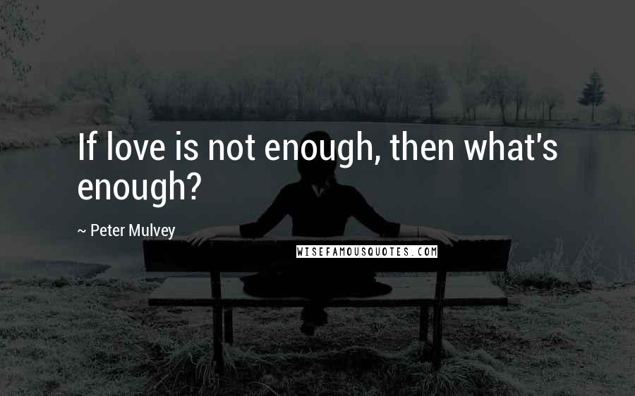 Peter Mulvey Quotes: If love is not enough, then what's enough?