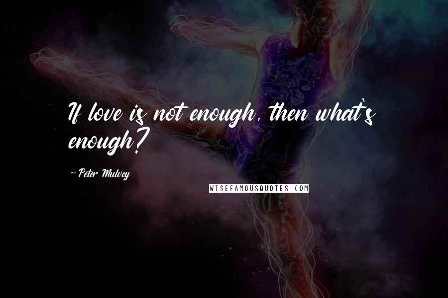 Peter Mulvey Quotes: If love is not enough, then what's enough?