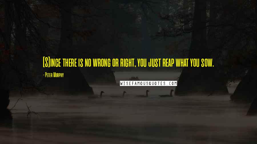 Peter Murphy Quotes: [S]ince there is no wrong or right, you just reap what you sow.