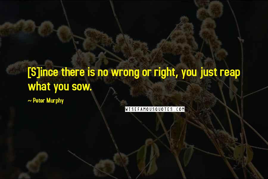 Peter Murphy Quotes: [S]ince there is no wrong or right, you just reap what you sow.