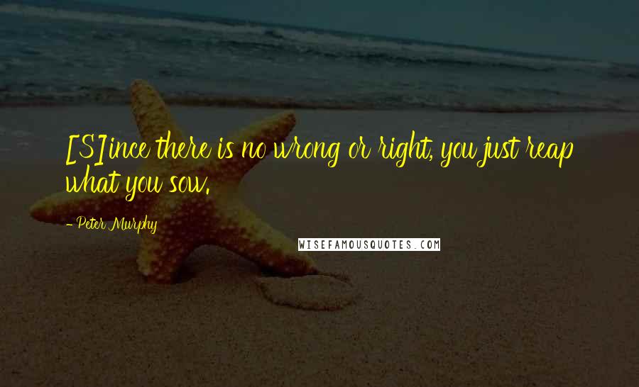 Peter Murphy Quotes: [S]ince there is no wrong or right, you just reap what you sow.