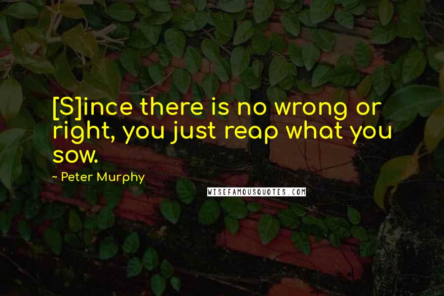 Peter Murphy Quotes: [S]ince there is no wrong or right, you just reap what you sow.