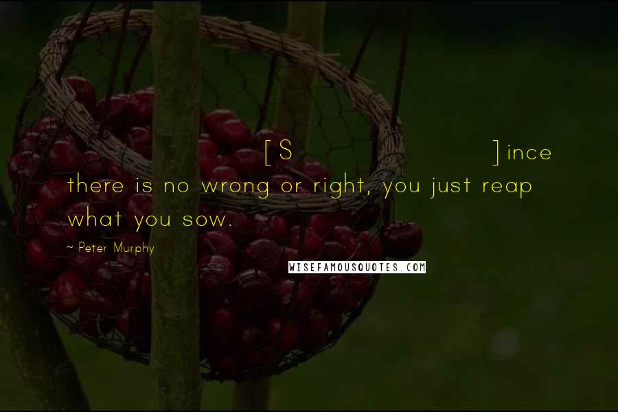 Peter Murphy Quotes: [S]ince there is no wrong or right, you just reap what you sow.