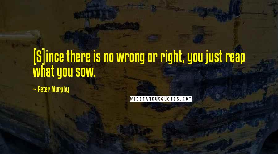 Peter Murphy Quotes: [S]ince there is no wrong or right, you just reap what you sow.