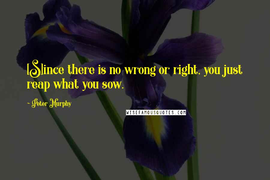 Peter Murphy Quotes: [S]ince there is no wrong or right, you just reap what you sow.