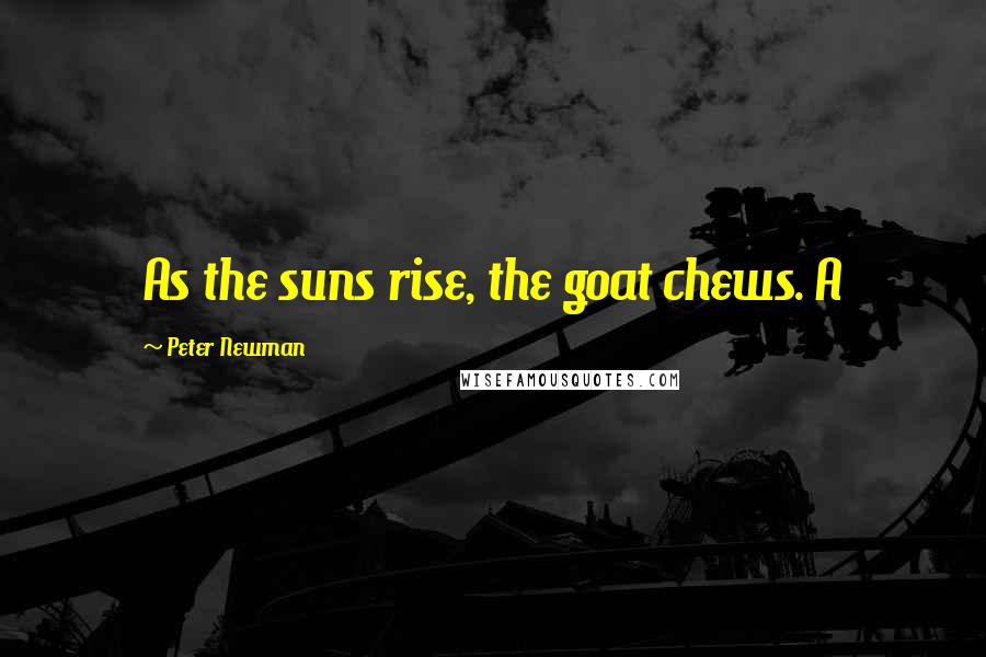Peter Newman Quotes: As the suns rise, the goat chews. A
