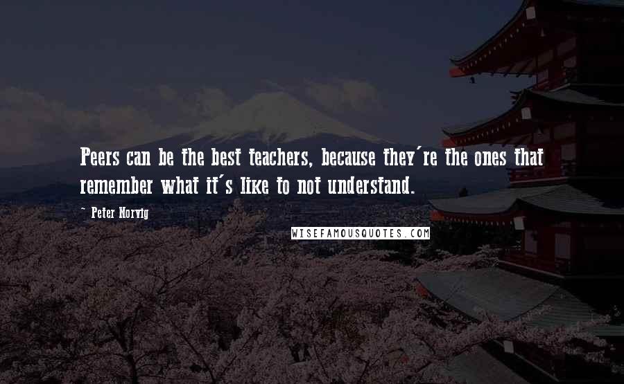 Peter Norvig Quotes: Peers can be the best teachers, because they're the ones that remember what it's like to not understand.