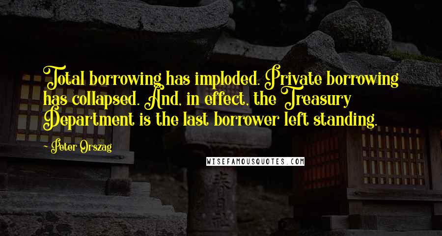 Peter Orszag Quotes: Total borrowing has imploded. Private borrowing has collapsed. And, in effect, the Treasury Department is the last borrower left standing.