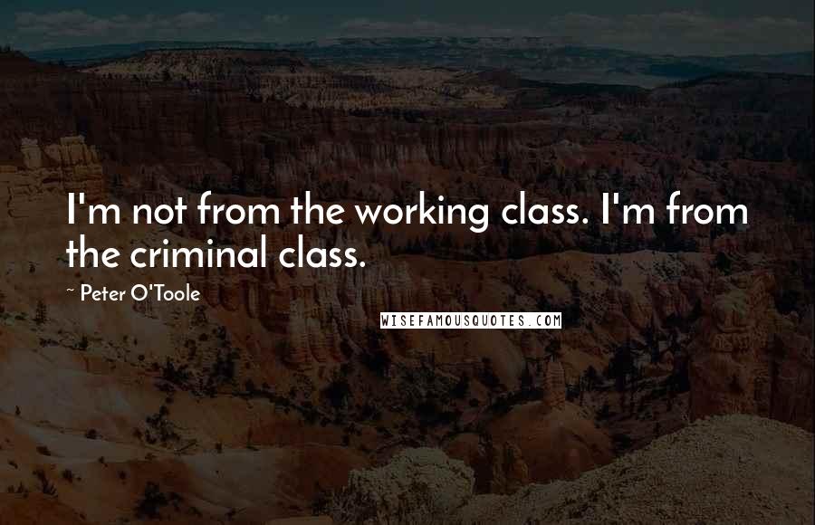 Peter O'Toole Quotes: I'm not from the working class. I'm from the criminal class.