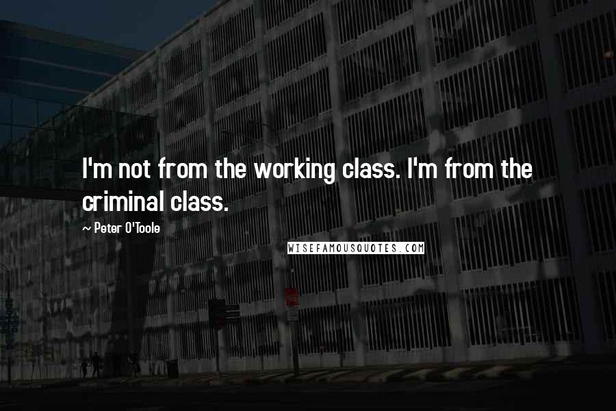 Peter O'Toole Quotes: I'm not from the working class. I'm from the criminal class.