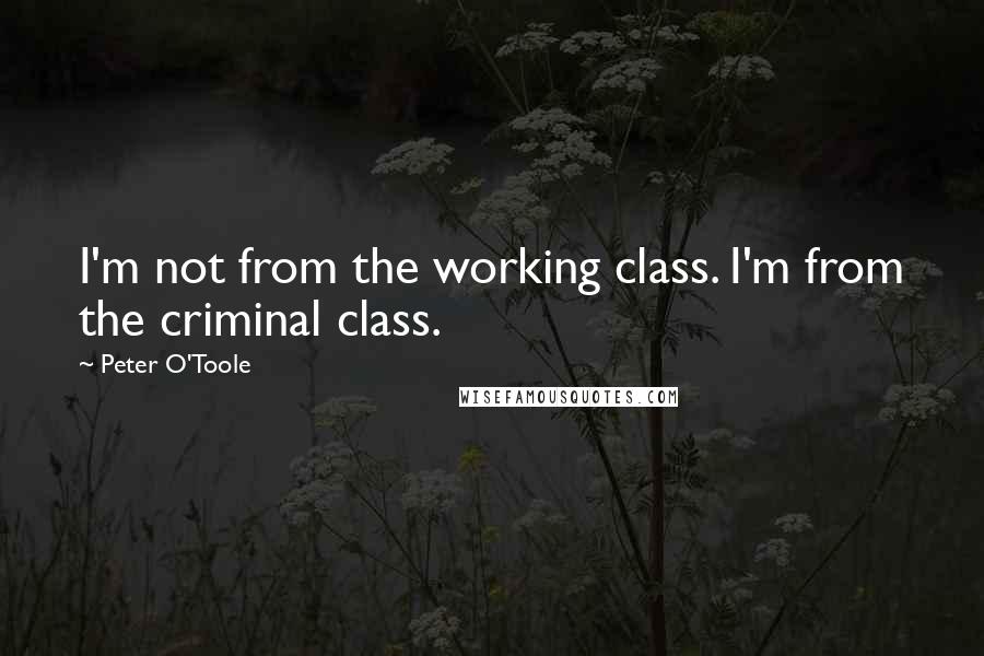 Peter O'Toole Quotes: I'm not from the working class. I'm from the criminal class.