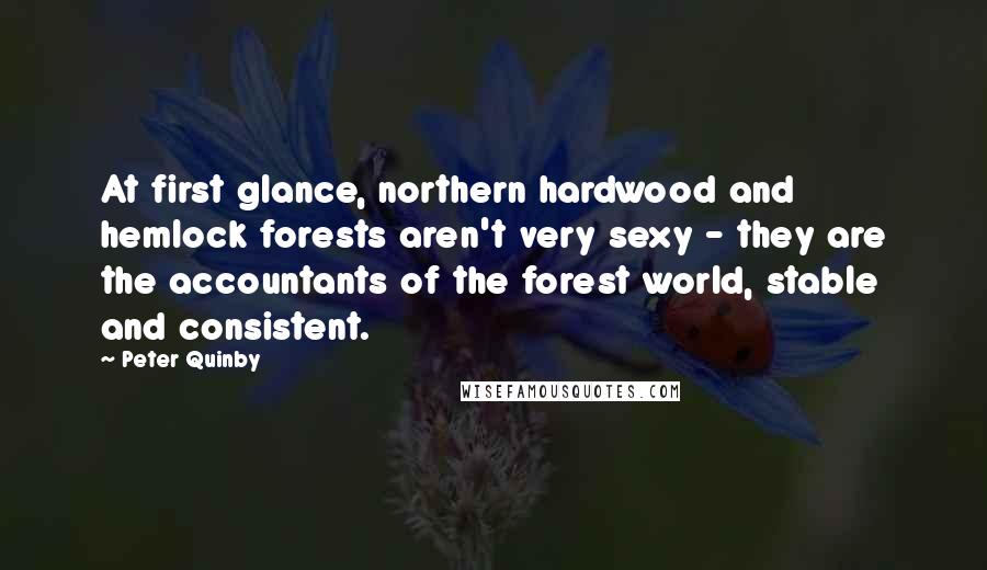 Peter Quinby Quotes: At first glance, northern hardwood and hemlock forests aren't very sexy - they are the accountants of the forest world, stable and consistent.