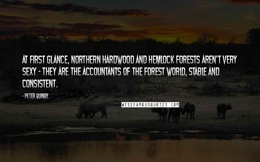 Peter Quinby Quotes: At first glance, northern hardwood and hemlock forests aren't very sexy - they are the accountants of the forest world, stable and consistent.