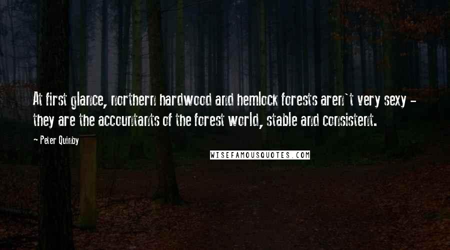 Peter Quinby Quotes: At first glance, northern hardwood and hemlock forests aren't very sexy - they are the accountants of the forest world, stable and consistent.