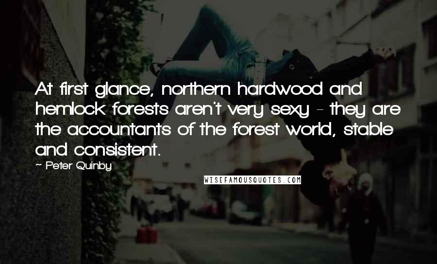 Peter Quinby Quotes: At first glance, northern hardwood and hemlock forests aren't very sexy - they are the accountants of the forest world, stable and consistent.