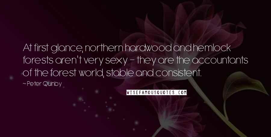 Peter Quinby Quotes: At first glance, northern hardwood and hemlock forests aren't very sexy - they are the accountants of the forest world, stable and consistent.