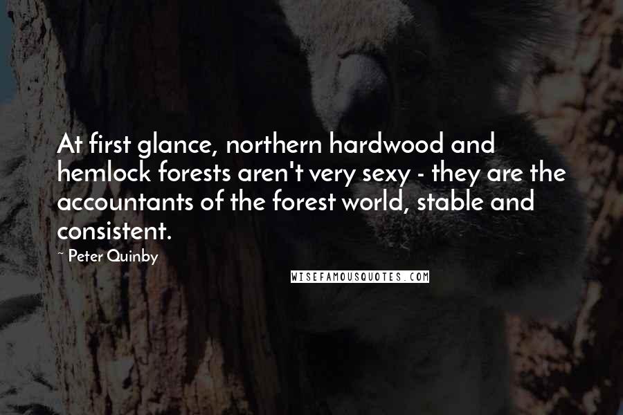 Peter Quinby Quotes: At first glance, northern hardwood and hemlock forests aren't very sexy - they are the accountants of the forest world, stable and consistent.