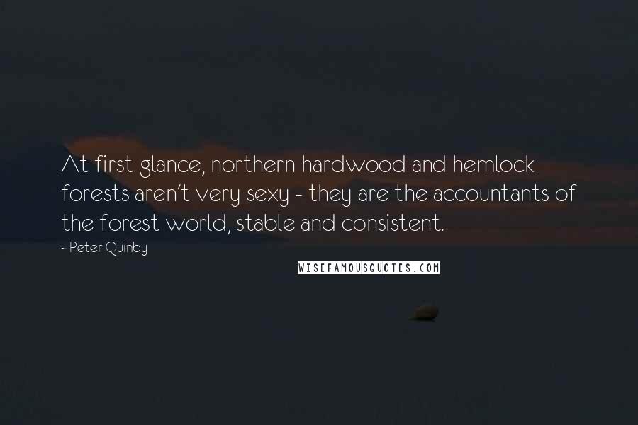 Peter Quinby Quotes: At first glance, northern hardwood and hemlock forests aren't very sexy - they are the accountants of the forest world, stable and consistent.