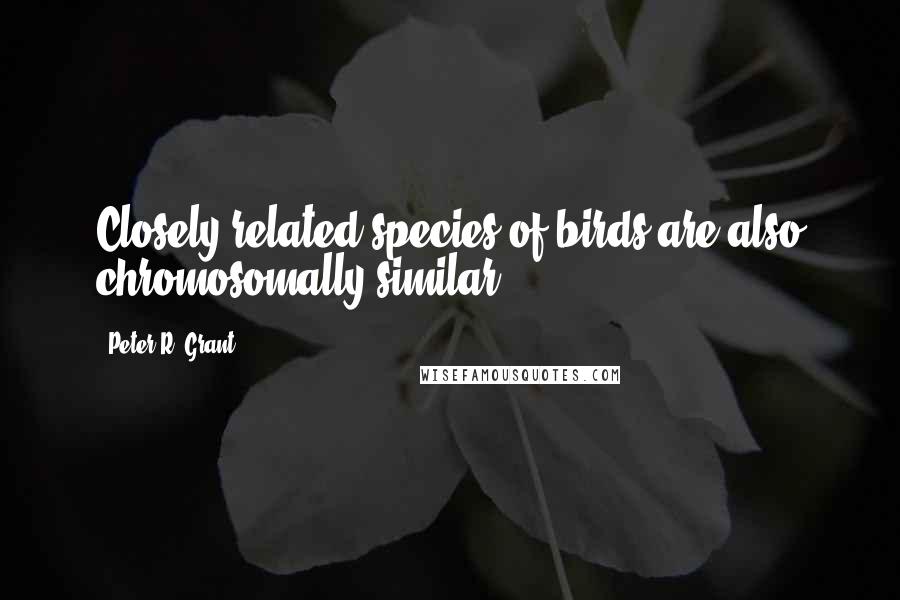 Peter R. Grant Quotes: Closely related species of birds are also chromosomally similar.
