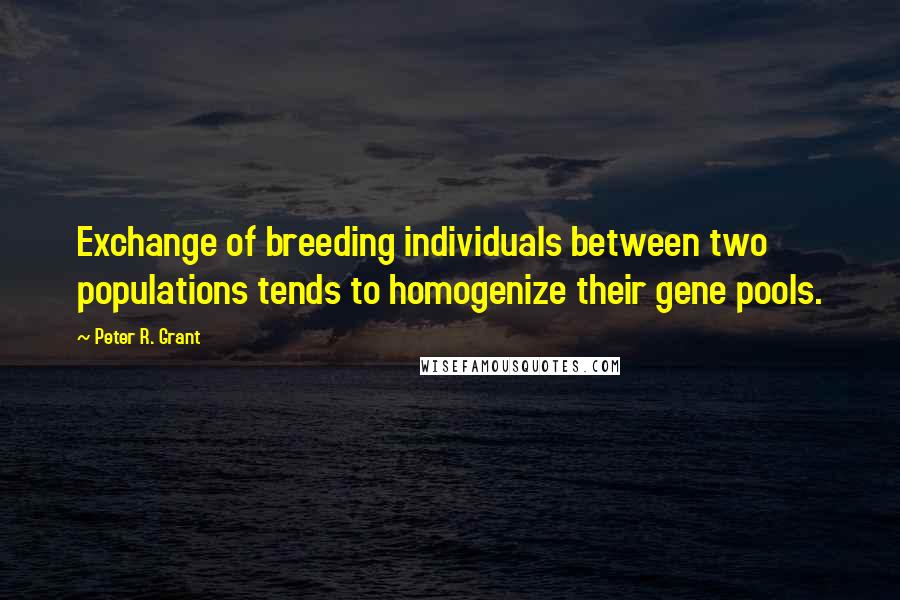 Peter R. Grant Quotes: Exchange of breeding individuals between two populations tends to homogenize their gene pools.