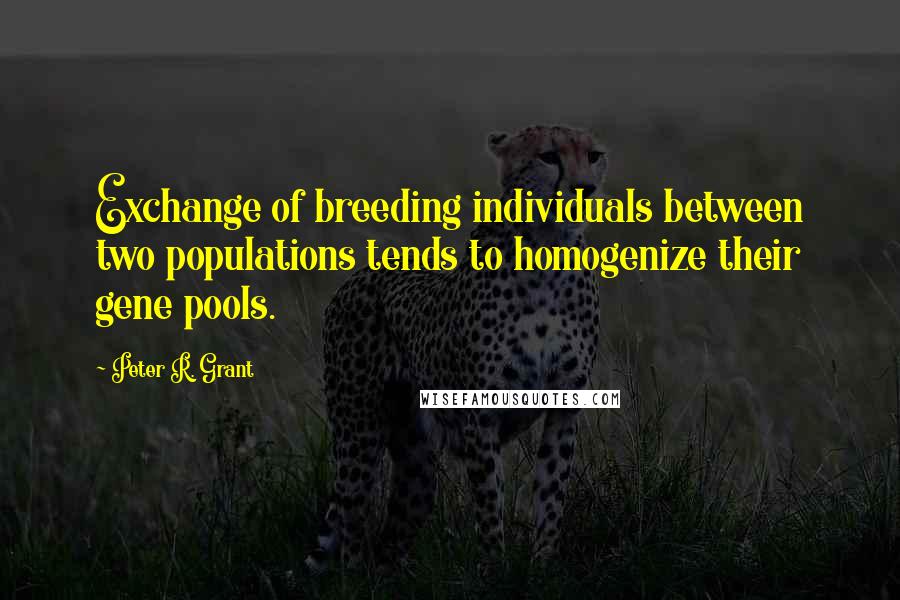 Peter R. Grant Quotes: Exchange of breeding individuals between two populations tends to homogenize their gene pools.