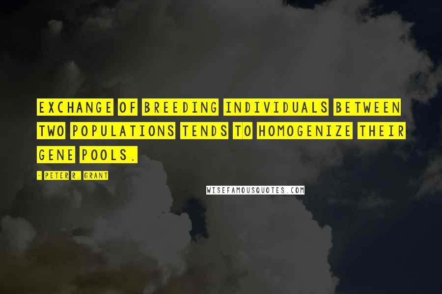 Peter R. Grant Quotes: Exchange of breeding individuals between two populations tends to homogenize their gene pools.