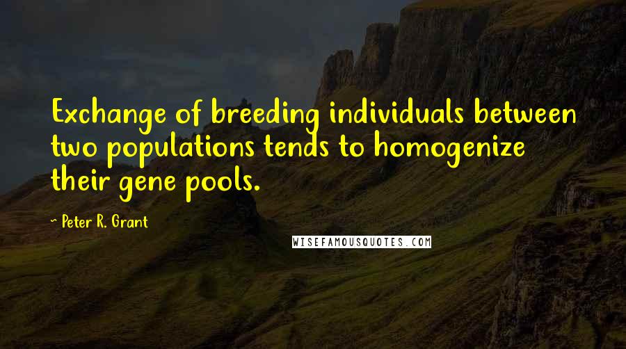 Peter R. Grant Quotes: Exchange of breeding individuals between two populations tends to homogenize their gene pools.