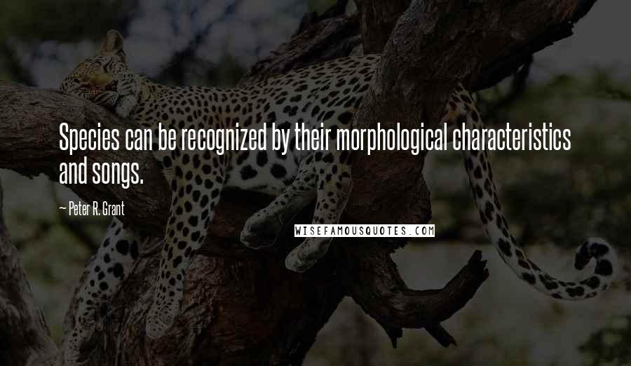 Peter R. Grant Quotes: Species can be recognized by their morphological characteristics and songs.