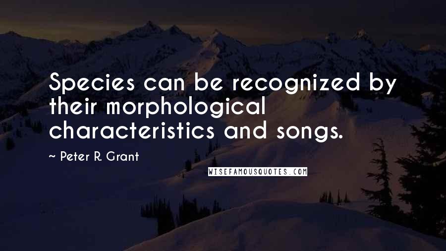 Peter R. Grant Quotes: Species can be recognized by their morphological characteristics and songs.