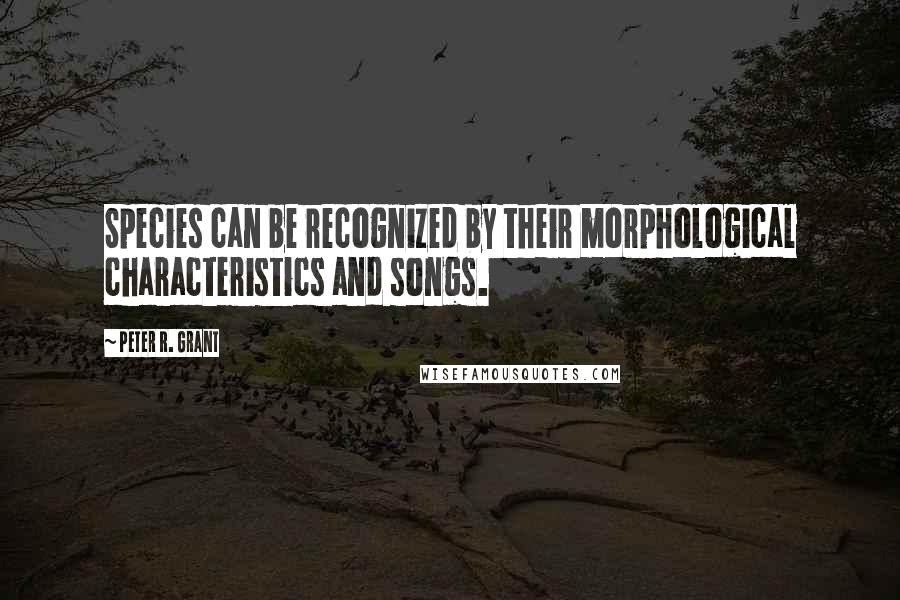 Peter R. Grant Quotes: Species can be recognized by their morphological characteristics and songs.