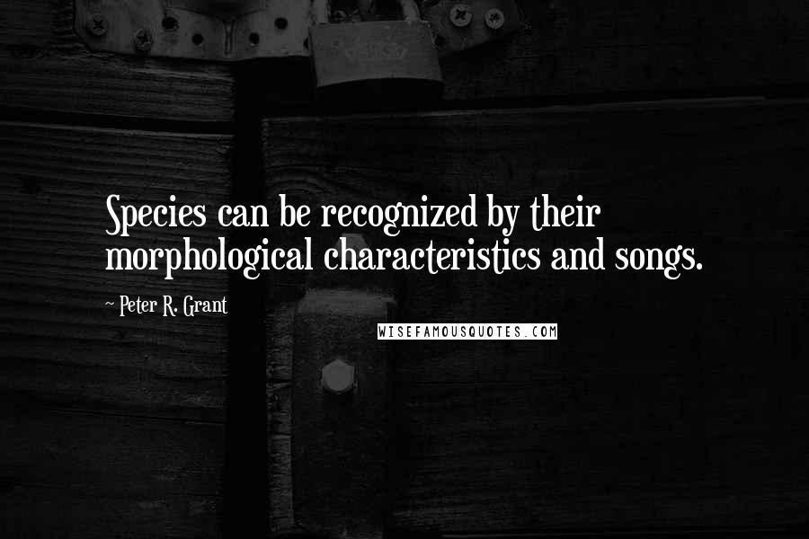Peter R. Grant Quotes: Species can be recognized by their morphological characteristics and songs.